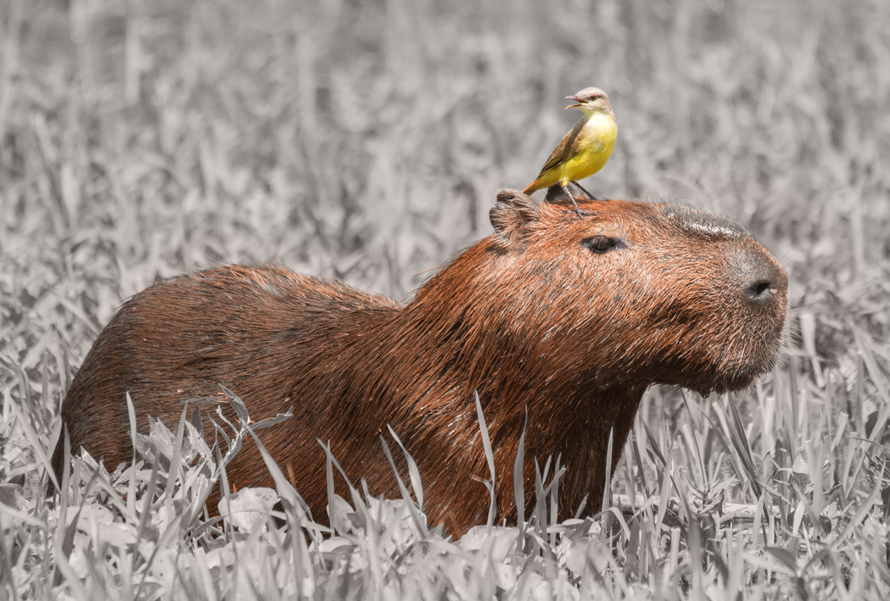 Our software works and how we know it really does